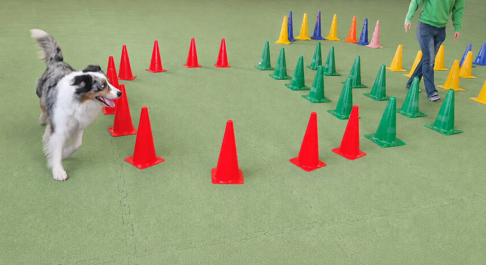 Longier-Parcours mit Pylonen im Trainingsraum
