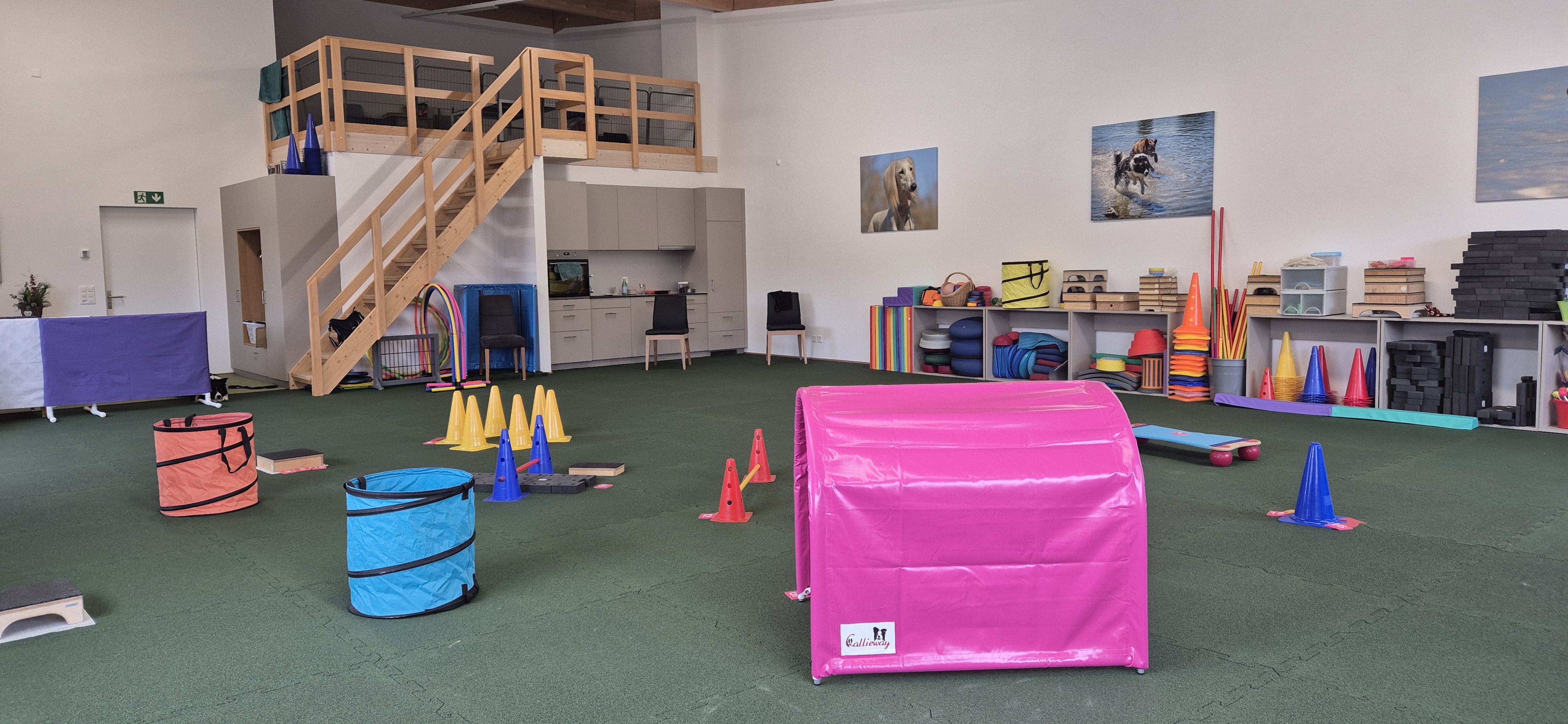 Trainingsraum mit pinkem Tunnel, Pylonen und Equipment-Regal