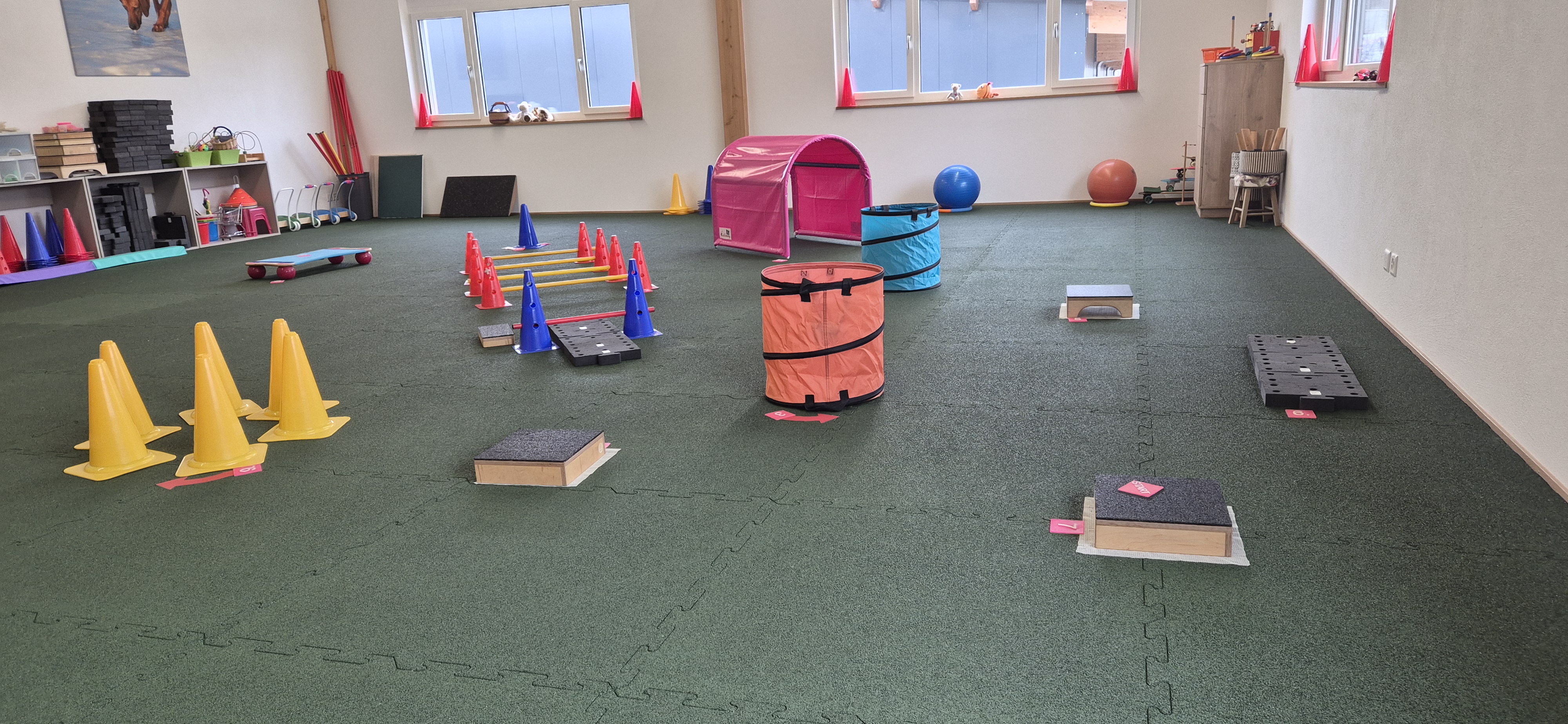 Grosszügige Trainingsfläche mit Pylonen, Tunneln und Balance-Elementen